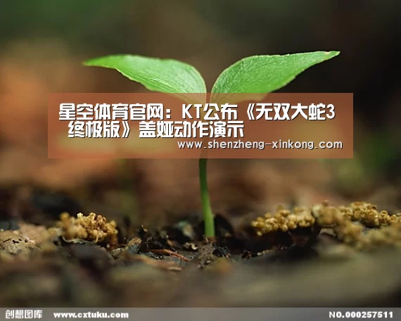 星空体育官网:KT公布《无双大蛇3 终极版》盖娅动作演示(图2) 星空体育app