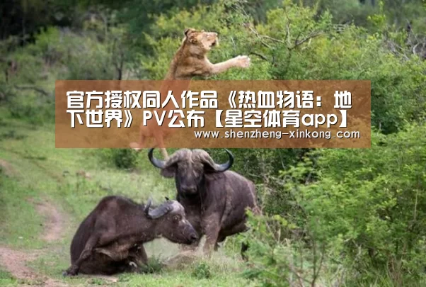 xk体育